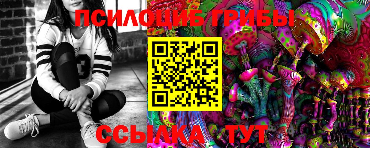 Псилоцибиновые грибы Psilocybe  Вход с VPN  Добрянка 