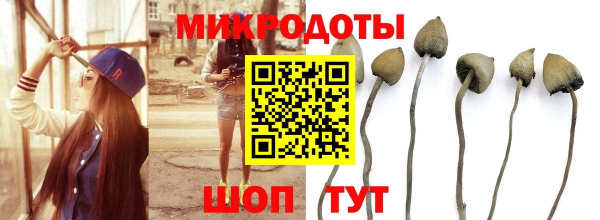 Галлюциногенные грибы GOLDEN TEACHER Добрянка